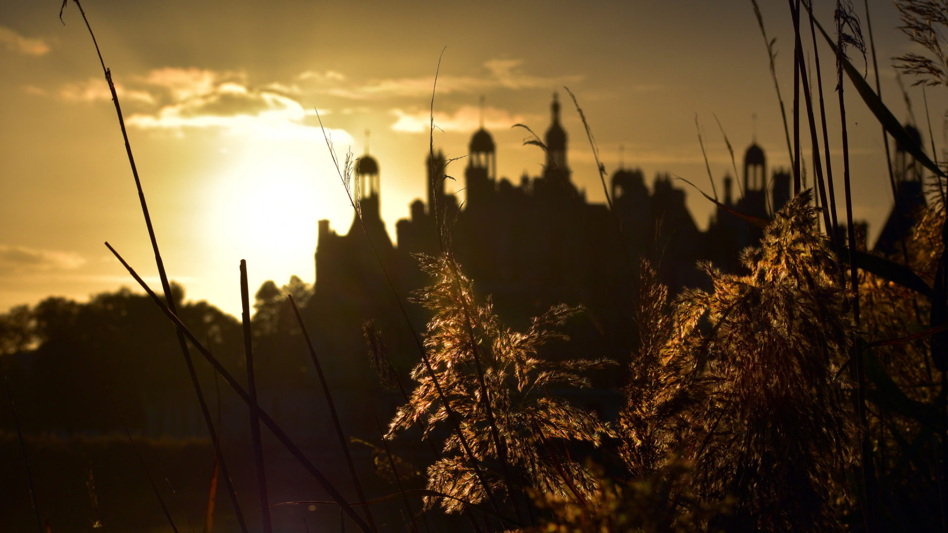 Chambord – De l’esprit de Léonard